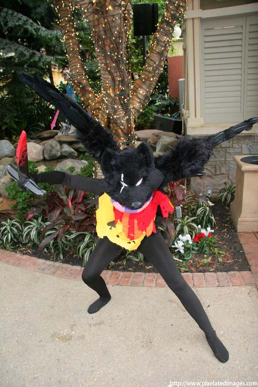 The finished costume.