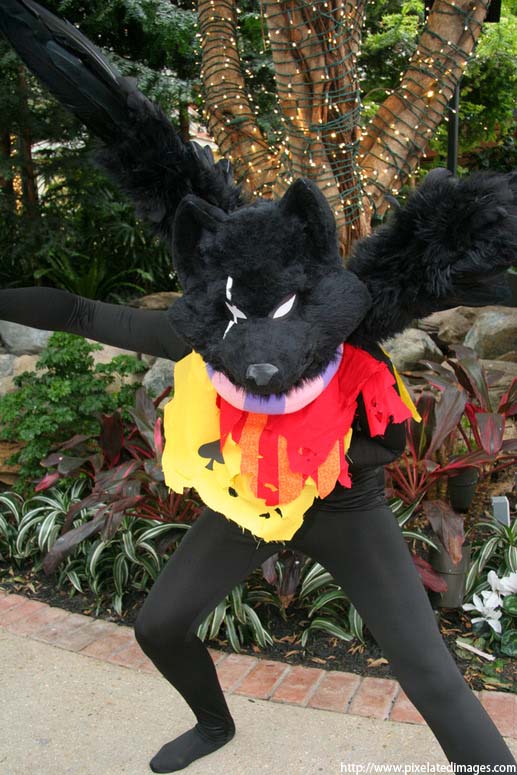 The finished costume.