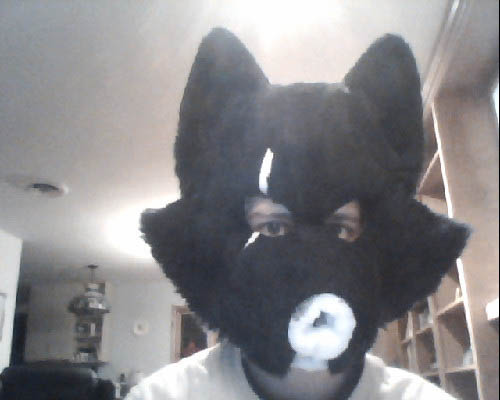 The fursuit head, after adding most of the fur.