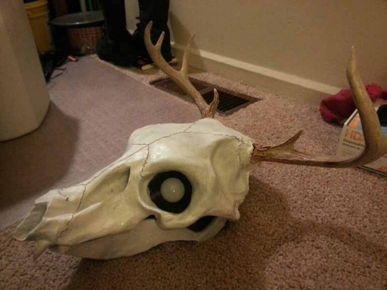The completed skull, with antlers and LED eyes.